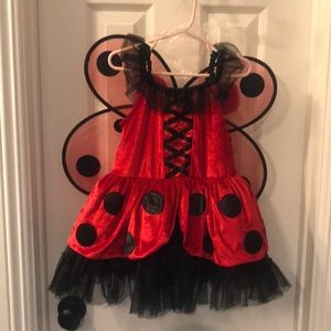 Toddler Lady Bug Costume - size 3T